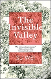 Capa do artigo The Invisible Valley