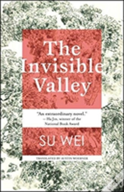Capa do artigo The Invisible Valley