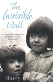 Capa do artigo The Invisible Wall