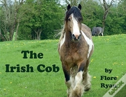 Capa do artigo The Irish Cob