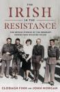 The Irish In The Resistance - Preview