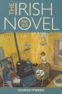 The Irish Novel 1960-2010 - Preview