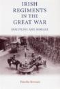 The Irish Regiments In The Great War - Preview