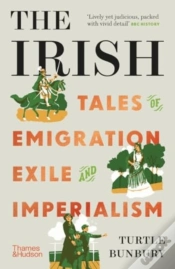 Capa do artigo The Irish