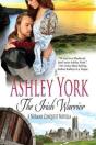 The Irish Warrior - Preview