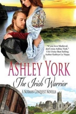 Capa do artigo The Irish Warrior