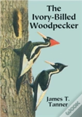 The Ivory-Billed Woodpecker