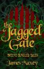 The Jagged Gate - Preview