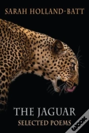 Capa do artigo The Jaguar