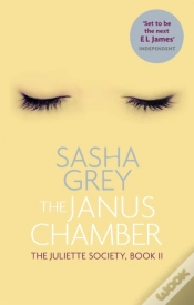 Capa do artigo The Janus Chamber