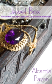 Capa do artigo The Jewel Box