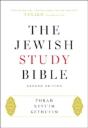 The Jewish Study Bible - Preview