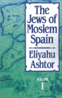 The Jews Of Moslem Spain, Volume 1 - Preview