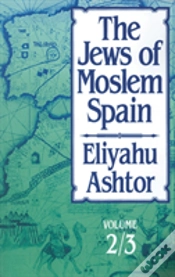 Capa do artigo The Jews Of Moslem Spain, Volumes 2 & 3