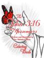 The John 3 - Preview