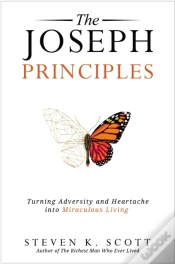 Capa do artigo The Joseph Principles