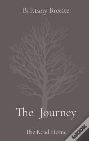 Capa do artigo The Journey