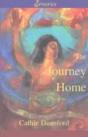 The Journey Home - Preview