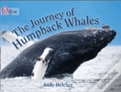 Capa do artigo The Journey Of Humpback Whales