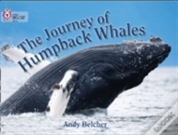 Capa do artigo The Journey Of Humpback Whales
