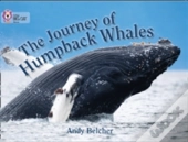 The Journey Of Humpback Whales