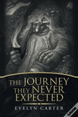 Capa do artigo The Journey They Never Expected