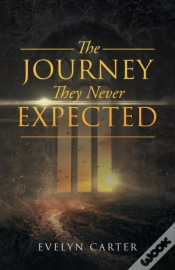 Capa do artigo The Journey They Never Expected