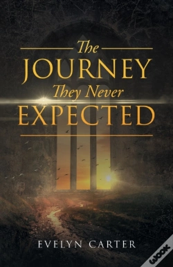 Capa do artigo The Journey They Never Expected