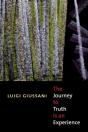 The Journey To Truth Is An Experience - Preview