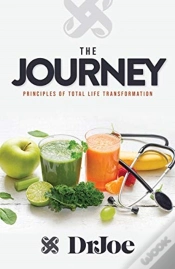 Capa do artigo The Journey