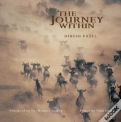 Capa do artigo The Journey Within