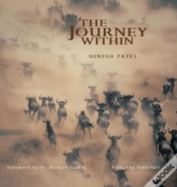 Capa do artigo The Journey Within