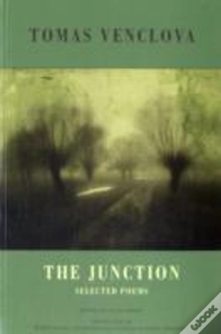 Capa do artigo The Junction