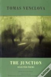Capa do artigo The Junction