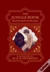 Capa do artigo The Jungle Book