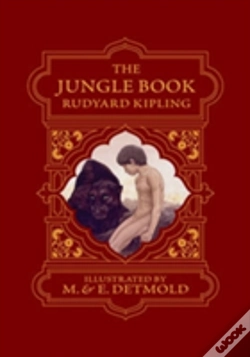 Capa do artigo The Jungle Book