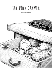 Capa do artigo The Junk Drawer