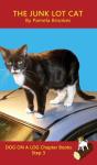 The Junk Lot Cat Chapter Book - Preview