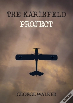 Capa do artigo The Karinfeld Project