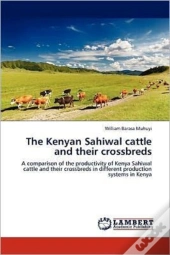 The Kenyan Sahiwal Cattle And Their Crossbreds