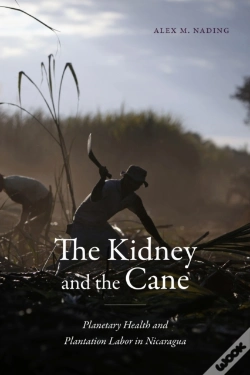 Capa do artigo The Kidney And The Cane