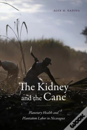 Capa do artigo The Kidney And The Cane