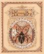 The Kissing Bug - Preview