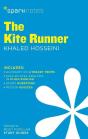 The Kite Runner (Sparknotes Literature Guide) - Preview