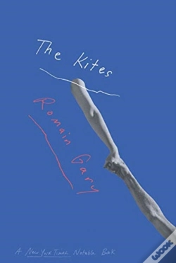 Capa do artigo The Kites