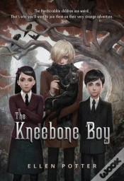 Capa do artigo The Kneebone Boy