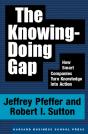 The Knowing-Doing Gap - Preview
