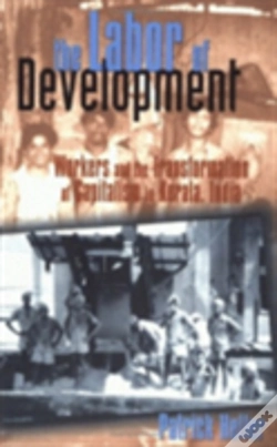 Capa do artigo The Labor Of Development