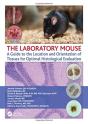 The Laboratory Mouse - Preview