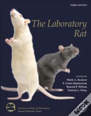 The Laboratory Rat